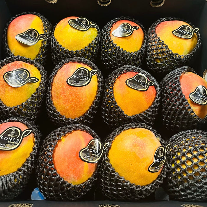🌞 Mexican Kent Sun Mango 5.5Kg