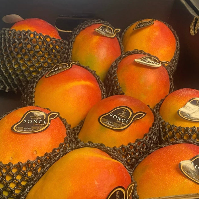 🌞 Mexican Kent Sun Mango 5.5Kg
