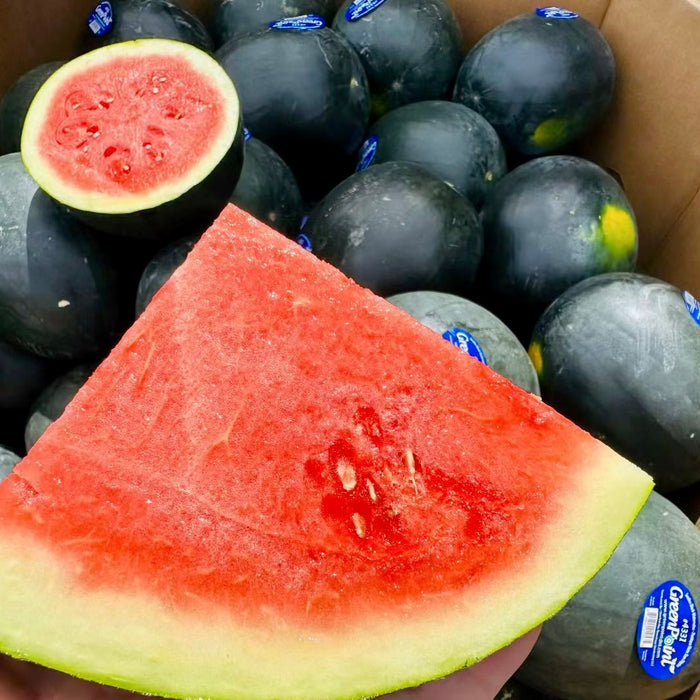 Mexico Seedless Watermelon – Sweet Juicy Red Flesh