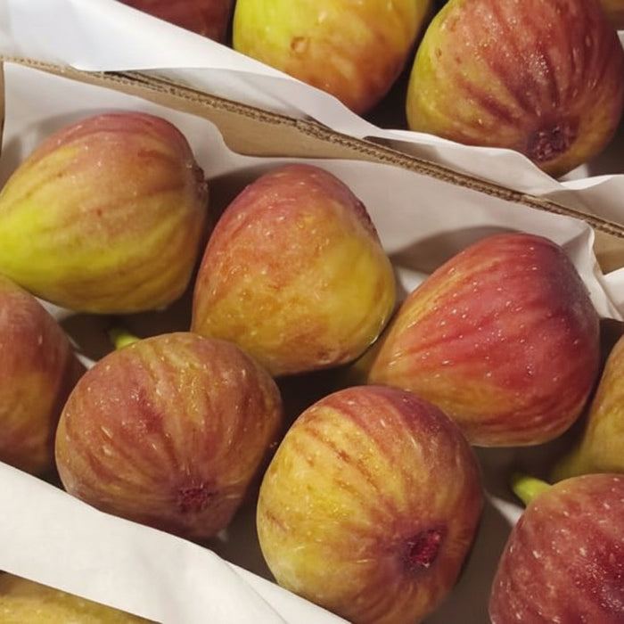 Brazil Fresh Figs – Air-Flown Premium Sweet & Juicy Fruit (3x8)