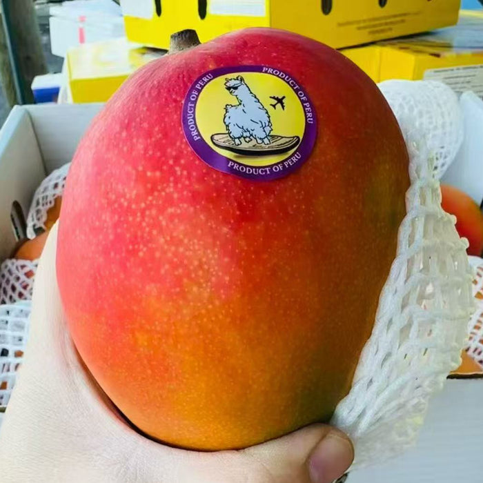 Peruvian Premium Mangoes – Tree-Ripened & Air-Freighted