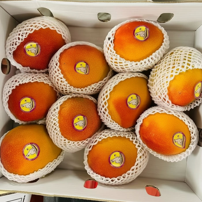 Peruvian Premium Mangoes – Tree-Ripened & Air-Freighted