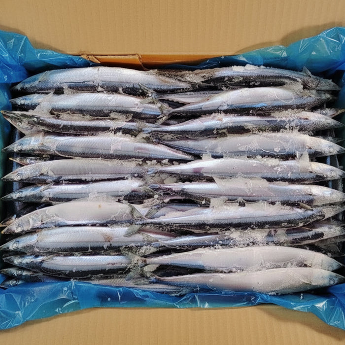 Japanese Imported Frozen Pacific Saury (Sanma)-10Kg/Box