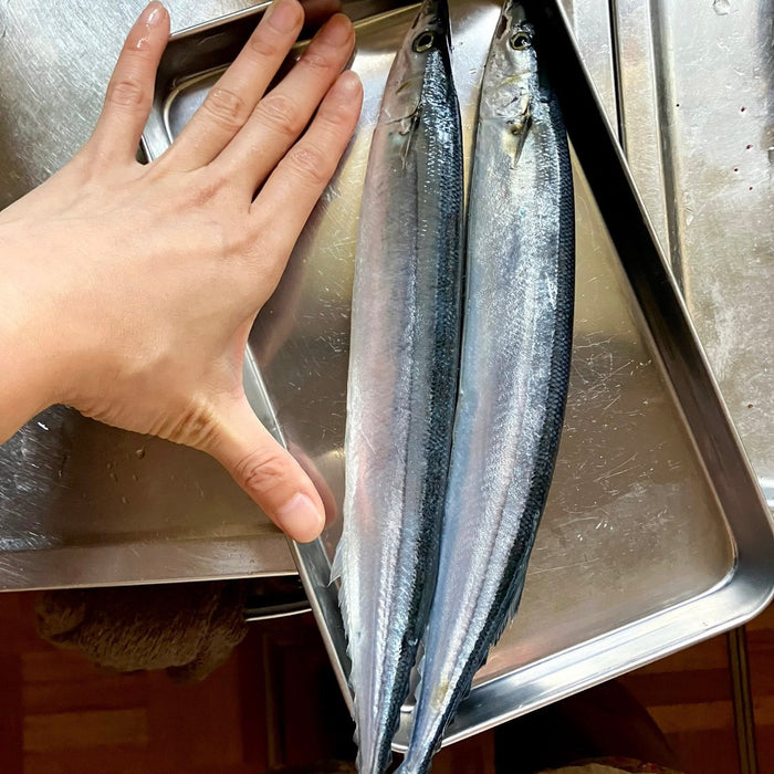 Japanese Imported Frozen Pacific Saury (Sanma)-10Kg/Box
