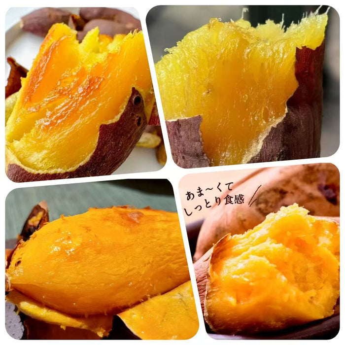 Japanese  やきいも，Yakiimo Kagoshima Anno Sweet Potato