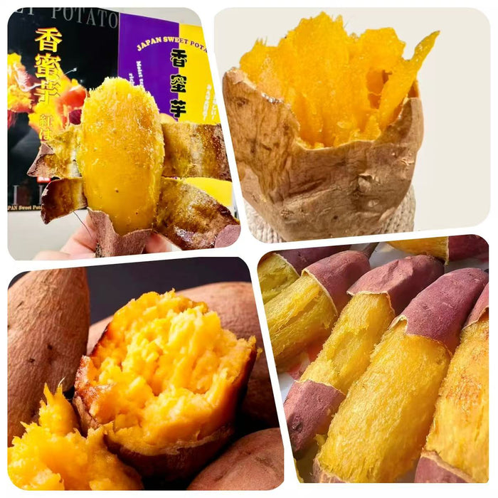 Japanese  やきいも，Yakiimo Kagoshima Anno Sweet Potato