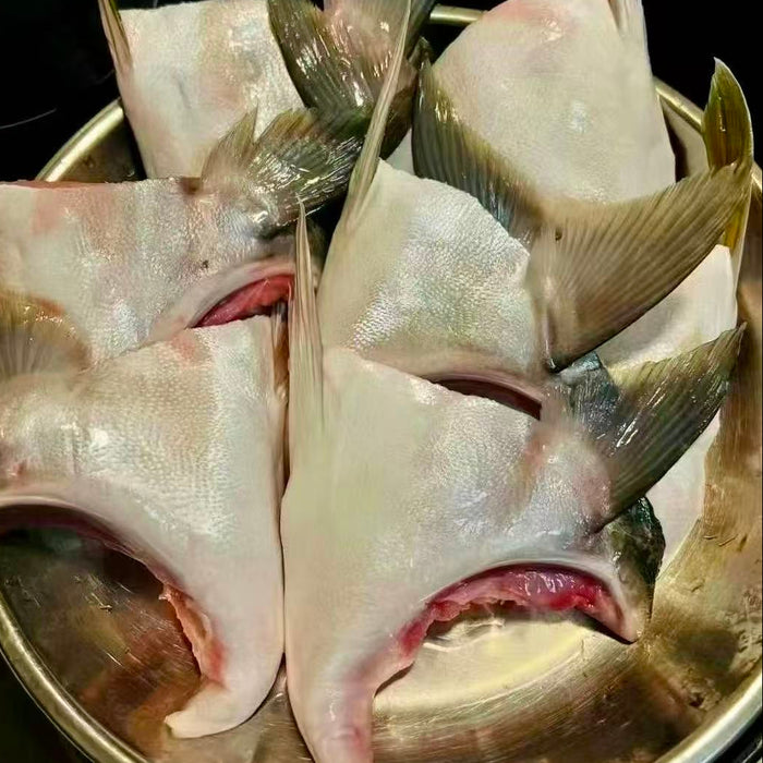 Japanese Frozen Hamachi Collar ハマチカマ – Izakaya Style Favorite （6Kg）