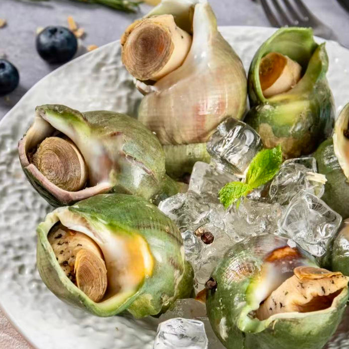 Canadian Wild Frozen Jade Whelk – Premium Cooked Sea Snail
