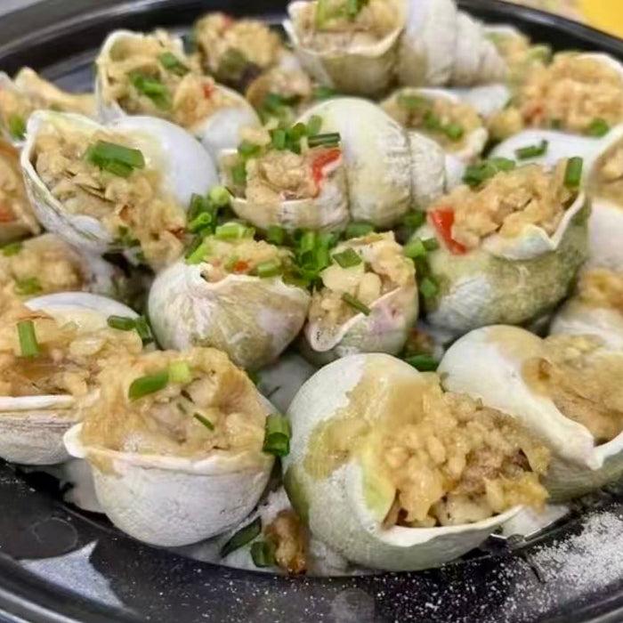 Canadian Wild Frozen Jade Whelk – Premium Cooked Sea Snail