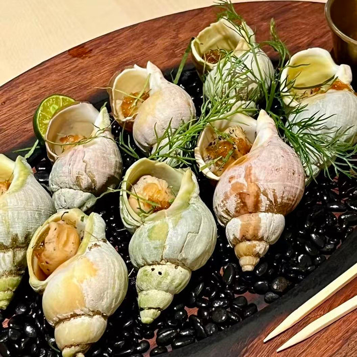 Canadian Wild Frozen Jade Whelk – Premium Cooked Sea Snail