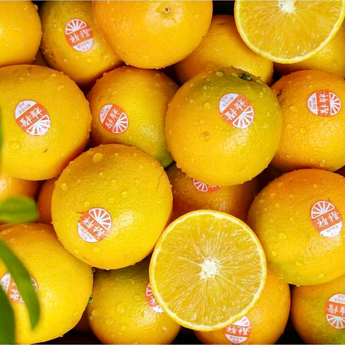 CHUCHENG Premium Orange (XL/5Kg) – Sweet & Juicy Yunnan Citrus