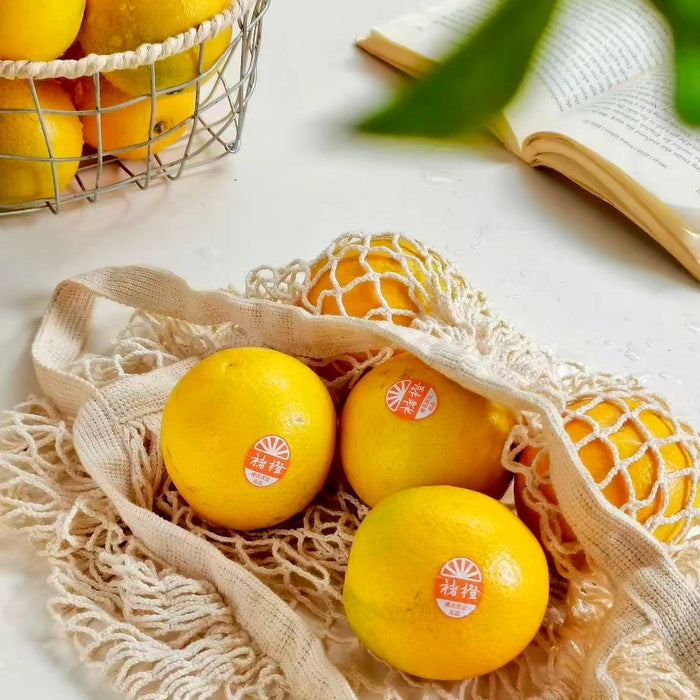 CHUCHENG Premium Orange (XL/5Kg) – Sweet & Juicy Yunnan Citrus