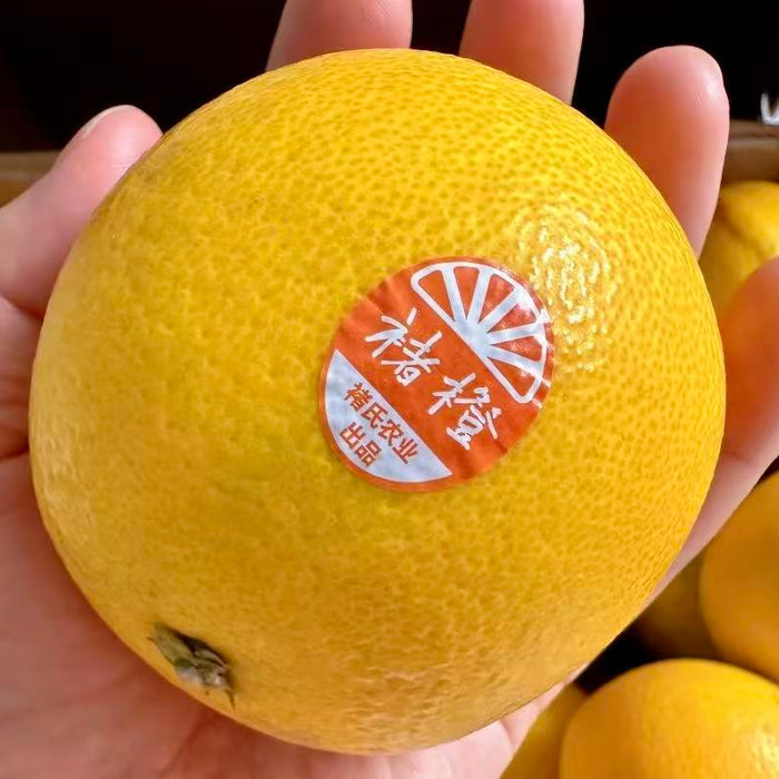 CHUCHENG Premium Orange (XL/5Kg) – Sweet & Juicy Yunnan Citrus