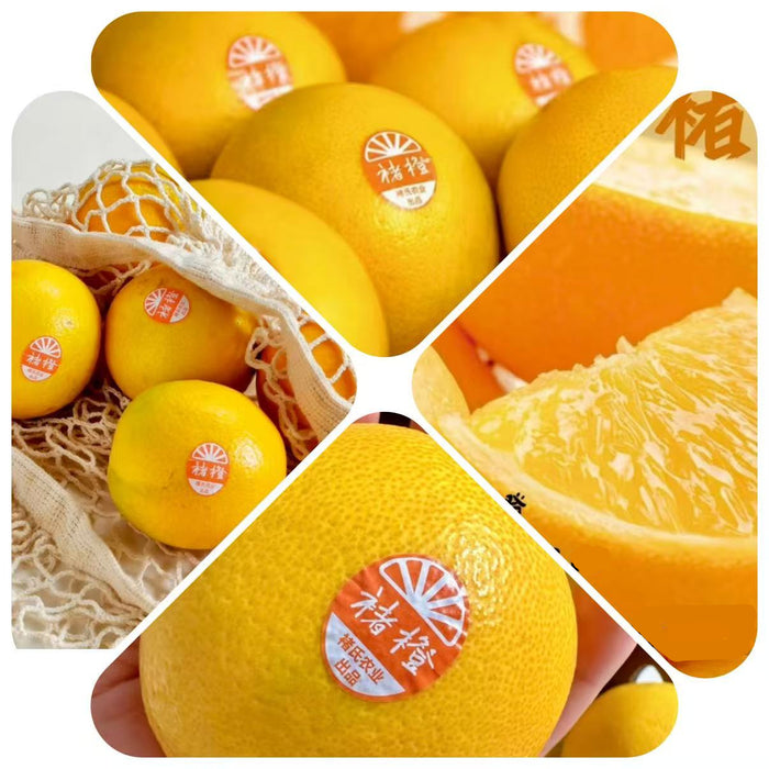CHUCHENG Premium Orange (XL/5Kg) – Sweet & Juicy Yunnan Citrus