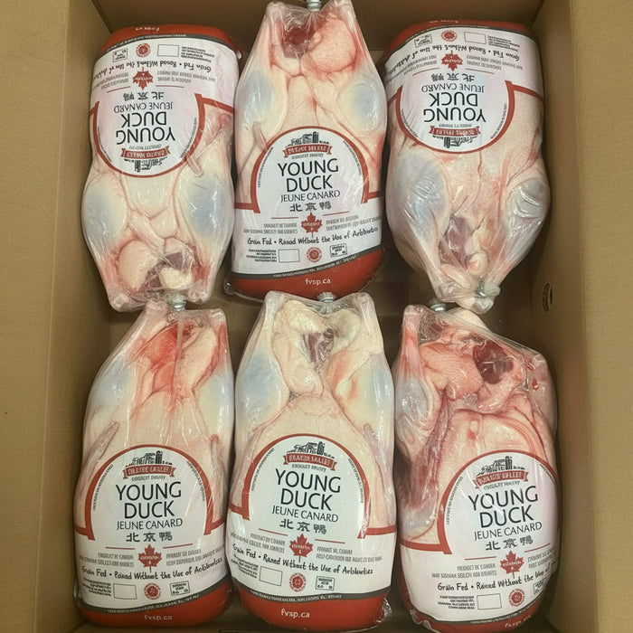 Premium Chicken & Duck – Fresh, Local, High-Quality Poultry
