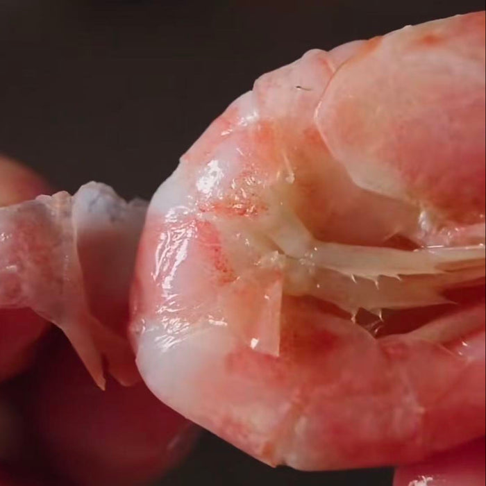 Mersey Wild Canadian Arctic Sweet Shrimp – Cooked & Frozen