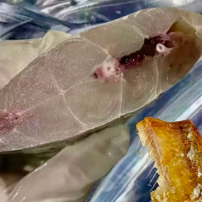 Premium Frozen Hokkaido Hairtail  プレミアム 太刀魚 (10Kg/Box)