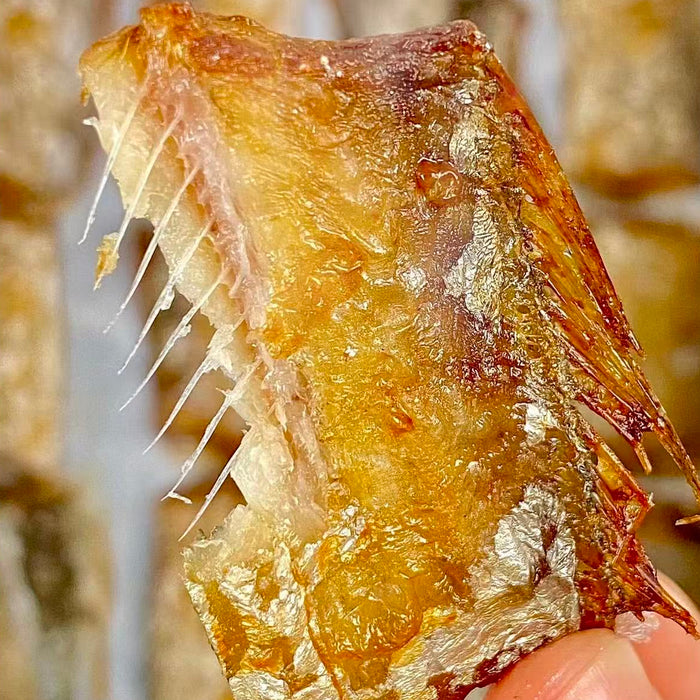 Premium Frozen Hokkaido Hairtail  プレミアム 太刀魚 (10Kg/Box)