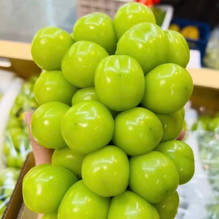 Premium Korean Shine Grapes (1Kg)