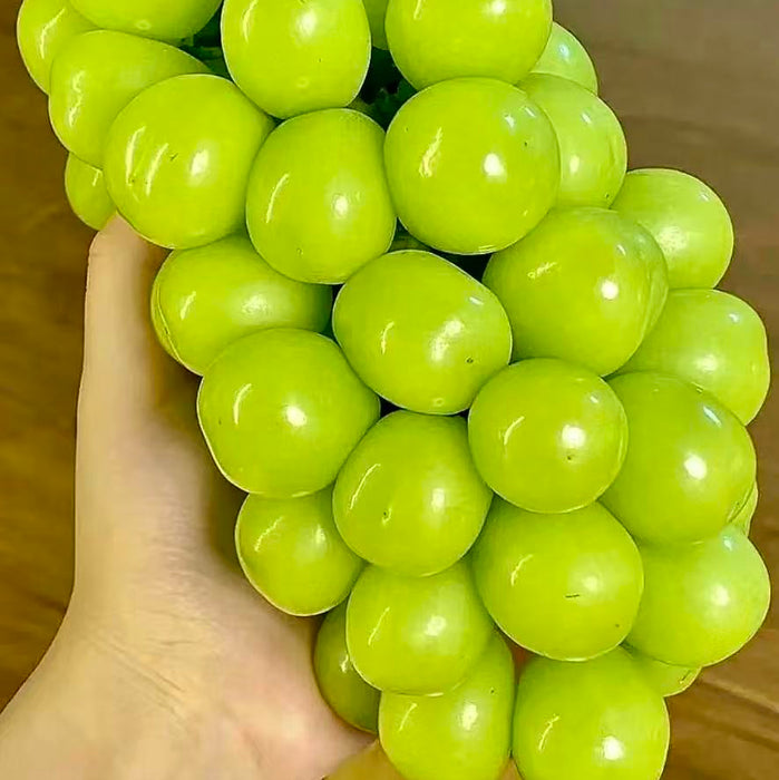 Premium Korean Shine Grapes (1Kg)