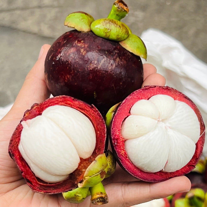 Indonesia Air-Flown Mangosteen – Premium Sweet Tropical Fruit