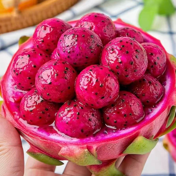 Vietnam Air-Flown Dragon Fruit – Premium Red & White Flesh Pitaya