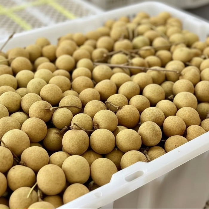 Vietnam Air Flown Premium Longan – Small Seed, Juicy & Sweet (1KG / 10KG)