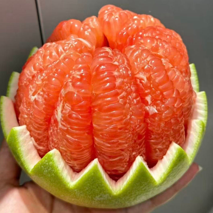 Thailand Ruby Honey Pomelo (Red Flesh) – Premium Grade