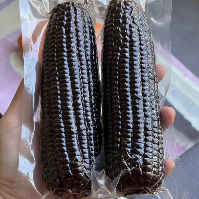 CORN BROTHER Premium Black Glutinous Corn – Sweet Non-GMO Sticky Corn (10pcs)