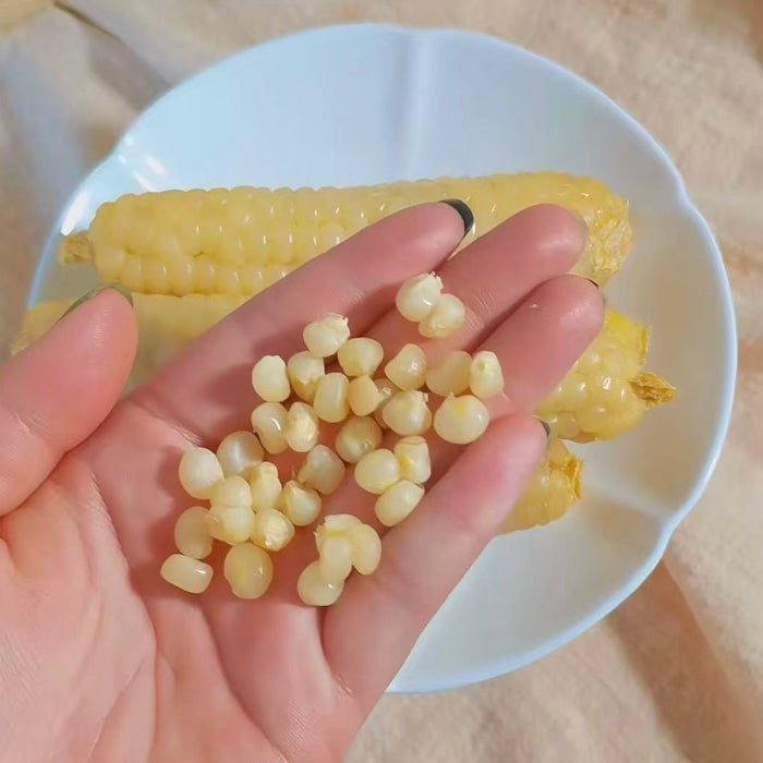 Fresh Yunnan baby corn – Tender, Sweet & Vacuum Packed