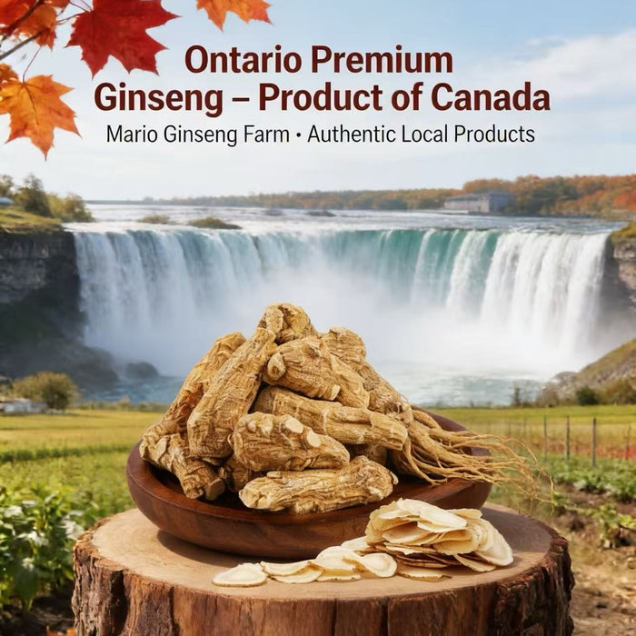 Mario Farm Canadian Ginseng (5-Year-Old) – Ontario Grown