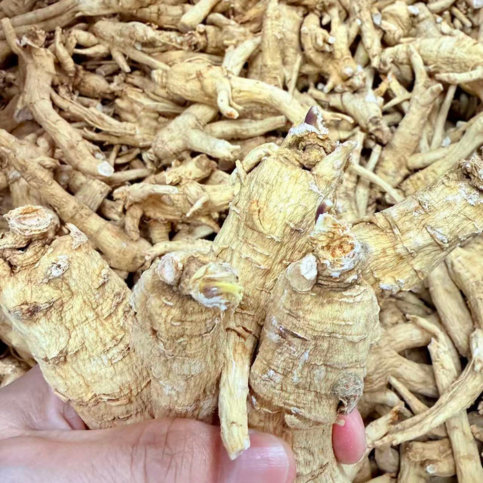 Mario Farm Canadian Ginseng (5-Year-Old) – Ontario Grown