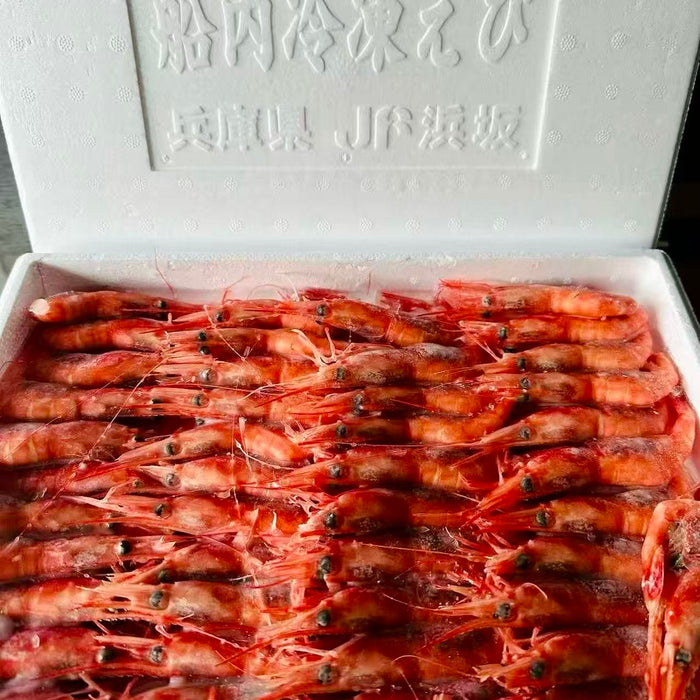 Japanese Imported Sweet Shrimp with Roe (Ama Ebi) 500g/Box