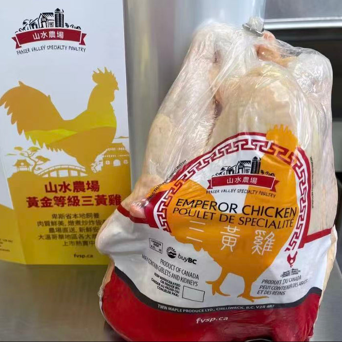 Premium Chicken & Duck – Fresh, Local, High-Quality Poultry