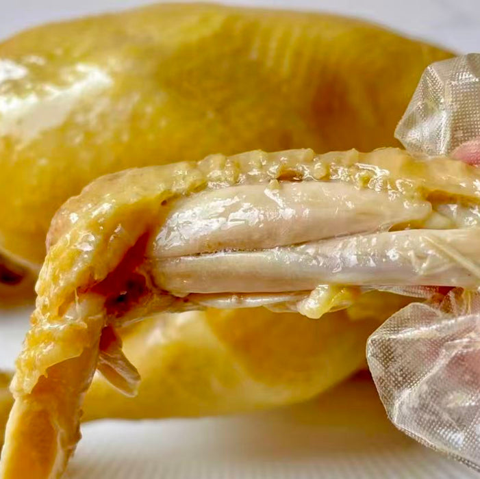 Premium Chicken & Duck – Fresh, Local, High-Quality Poultry