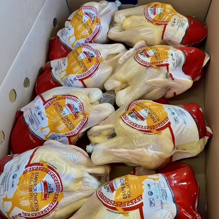 Premium Chicken & Duck – Fresh, Local, High-Quality Poultry