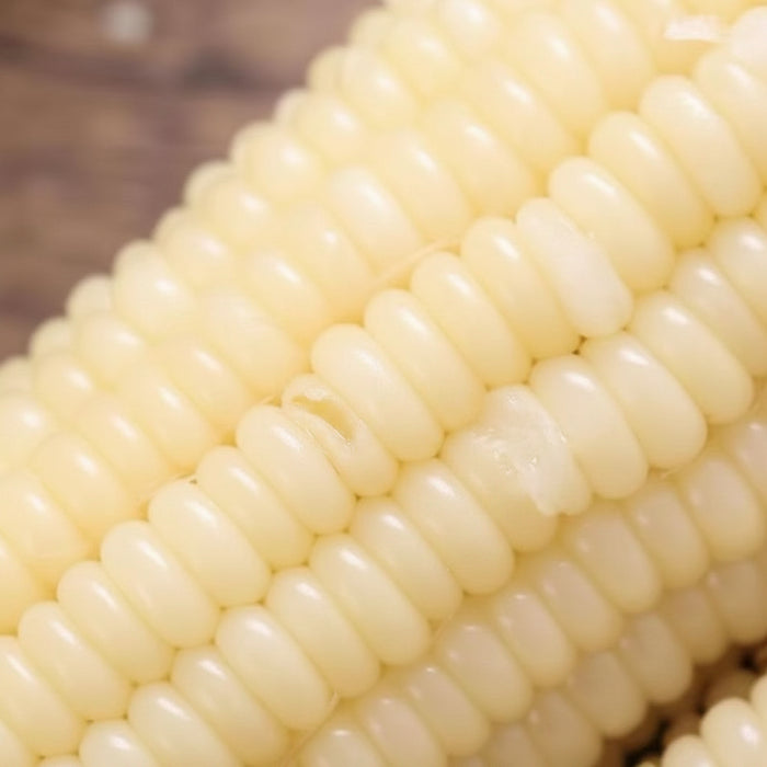 Premium Glutinous Corn Selection – Yellow, Black & White Waxy Corn