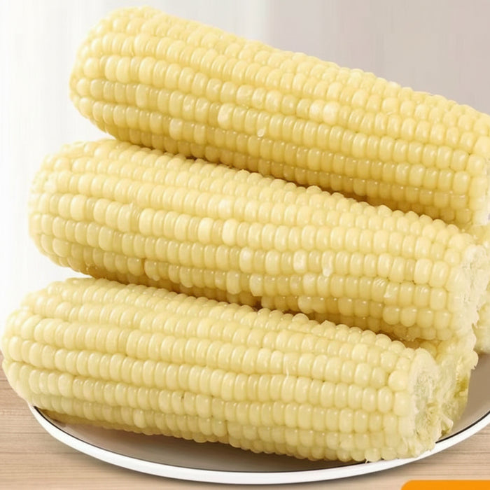 Premium Glutinous Corn Selection – Yellow, Black & White Waxy Corn
