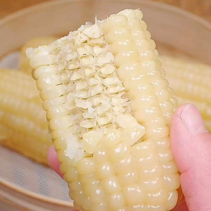 Premium Glutinous Corn Selection – Yellow, Black & White Waxy Corn
