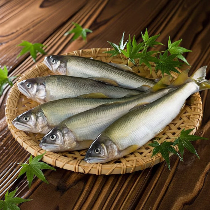 Premium プレミアム鮎 Japanese Frozen Ayu Fish (Sweetfish) （1Kg）