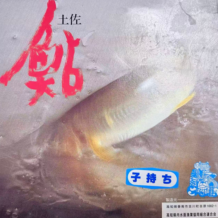 Premium プレミアム鮎 Japanese Frozen Ayu Fish (Sweetfish) （1Kg）