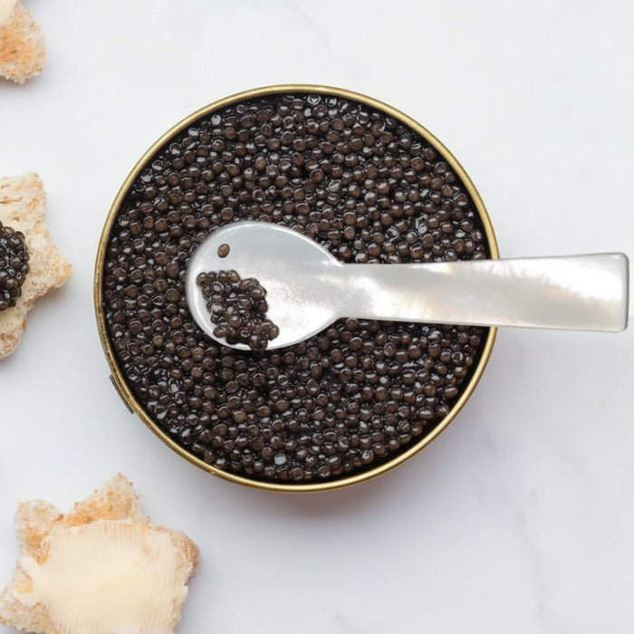 Coastal Bay Caviar – Premium Osietra & Kaluga Selection (30g / 100g)