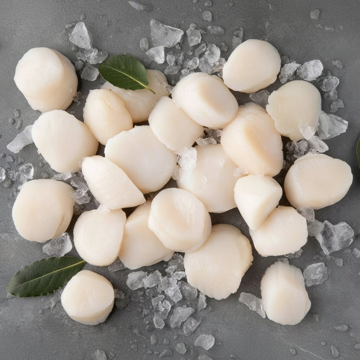 🇨🇦 Canadian Wild Scallops – Locally Processed Frozen fresh.