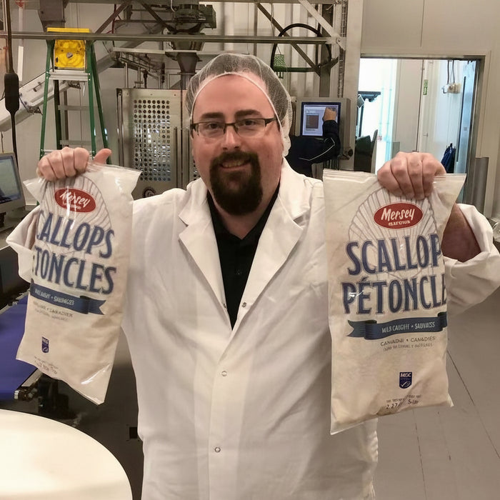 🇨🇦 Canadian Wild Scallops – Locally Processed Frozen fresh.