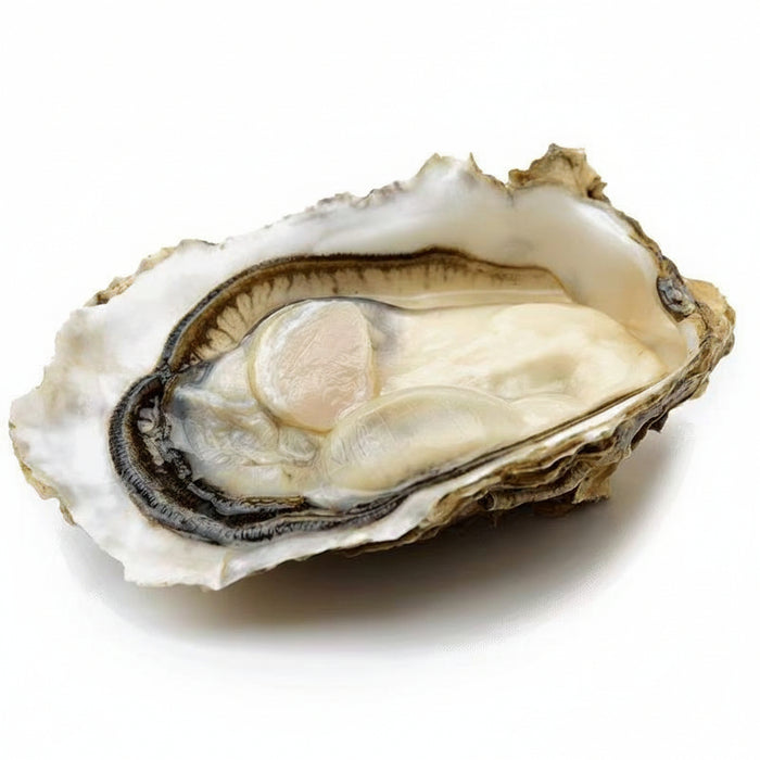 Wild Deep Sea Oysters 🦪 – Vancouver Island  (Pre-Order Item) Doz Price