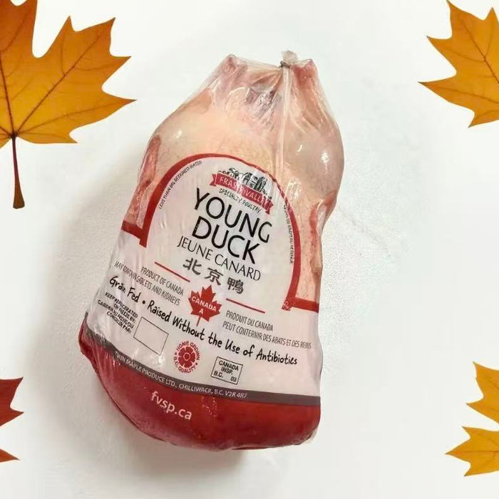 Premium Chicken & Duck – Fresh, Local, High-Quality Poultry