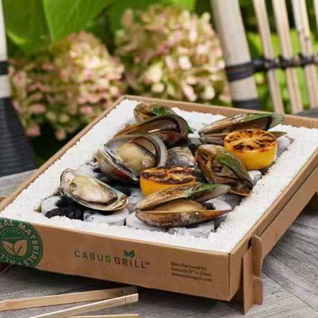 Eco-Friendly Disposable BBQ Grill – 4 Pack Camping Set