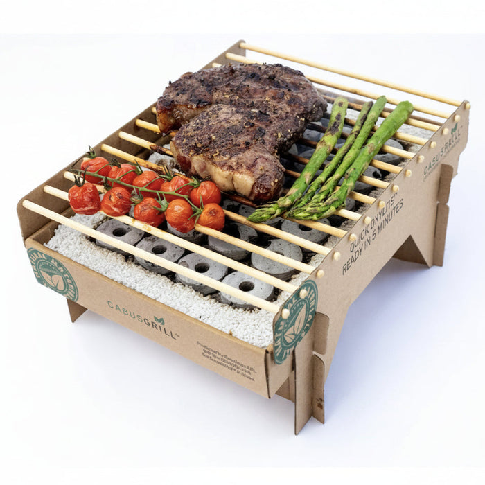 Eco-Friendly Disposable BBQ Grill – 4 Pack Camping Set