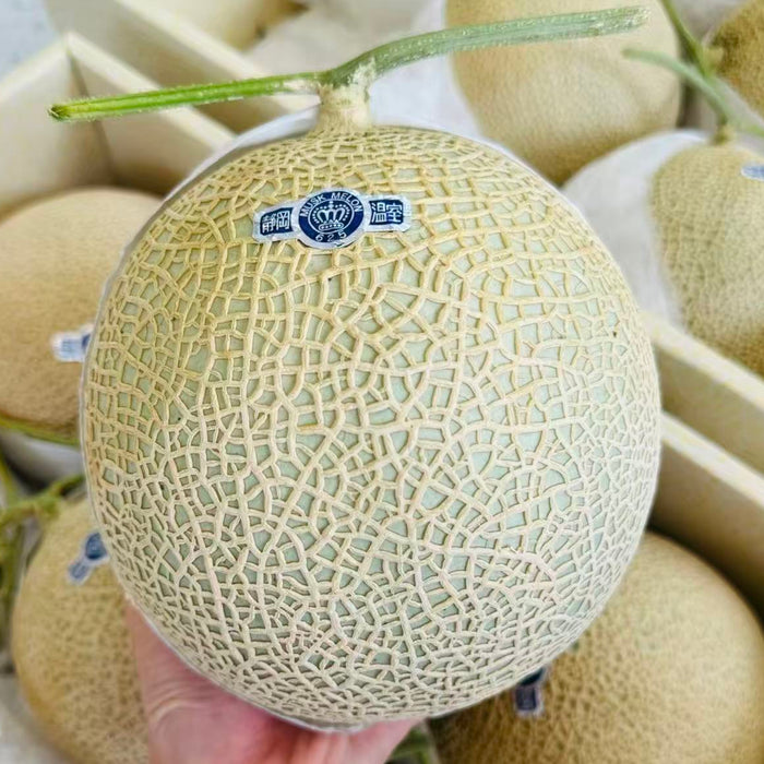 Japan Air-Flown Premium Fruit Shizuoka Crown Melon クラウンメロン 静岗温室