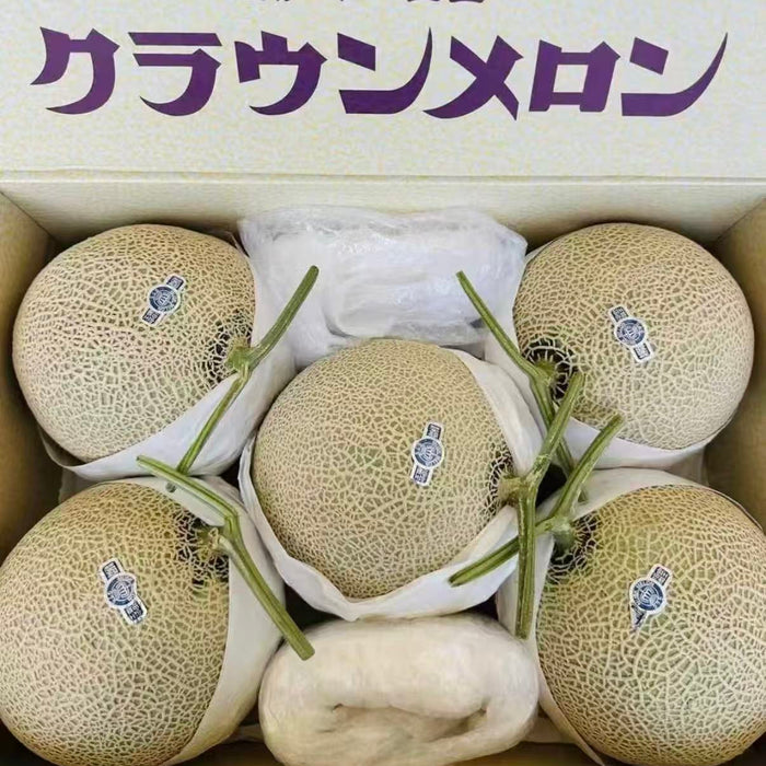 Japan Air-Flown Premium Fruit Shizuoka Crown Melon クラウンメロン 静岗温室